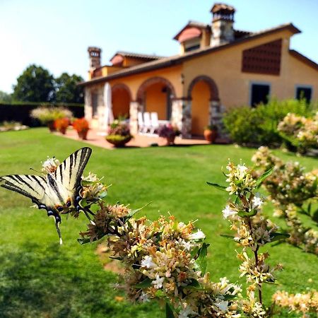 Tuscan Villa Exclusive Use Of Private Pool A/C Wifi Villa Briciola Capannori Exterior foto