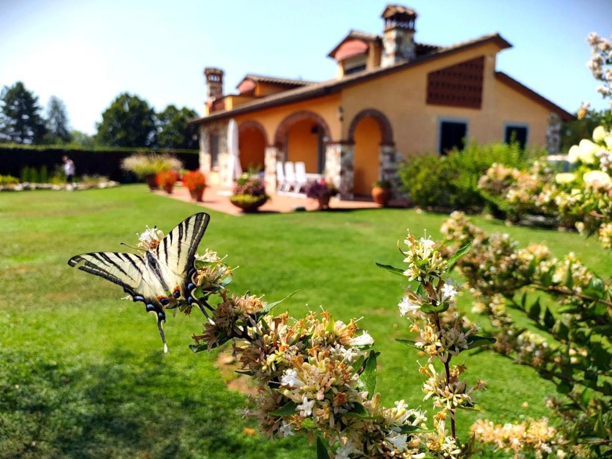 Tuscan Villa Exclusive Use Of Private Pool A/C Wifi Villa Briciola Capannori Exterior foto